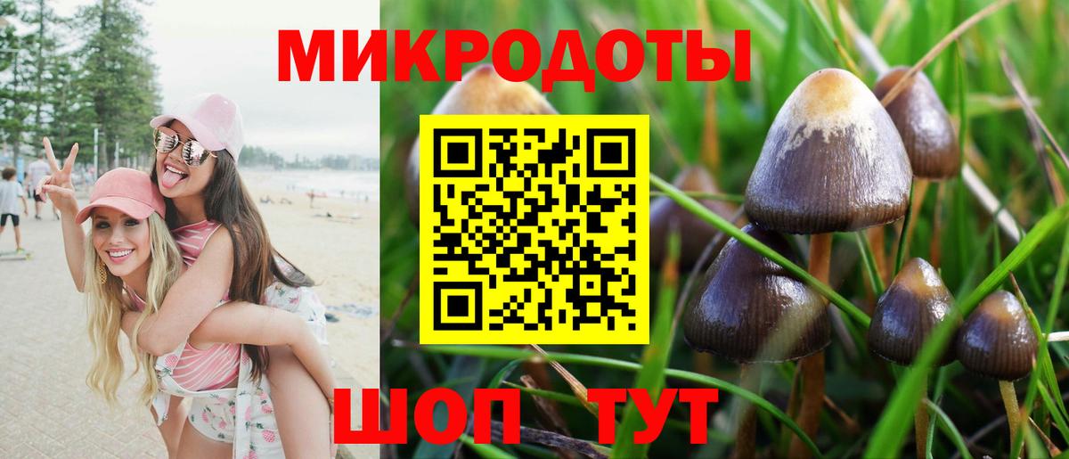 Галлюциногенные грибы MAGIC MUSHROOMS Биробиджан