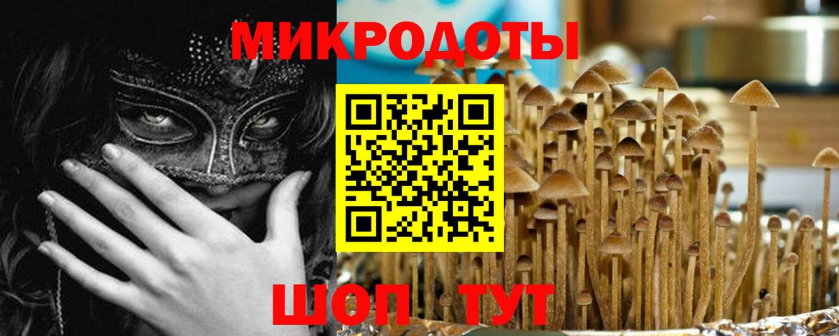Псилоцибиновые грибы Cubensis  Вход с VPN  магазин    Биробиджан 